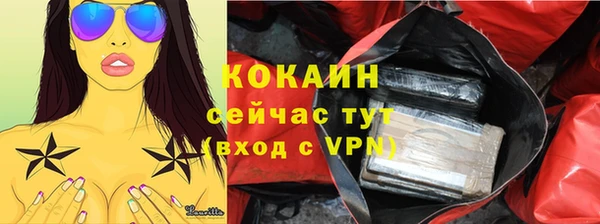 спайс Арсеньев