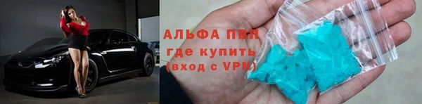 СК Пересвет
