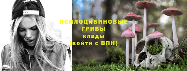 спайс Арсеньев