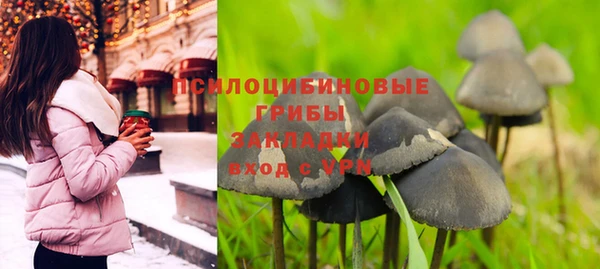 стаф Армянск