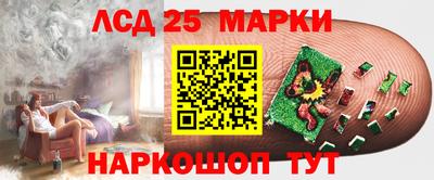 mdpv Славгород