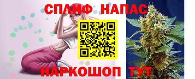 mdpv Славгород