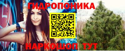 mdpv Славгород