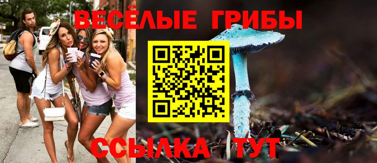 Псилоцибиновые грибы Magic Shrooms  Вход с VPN  Светлоград 