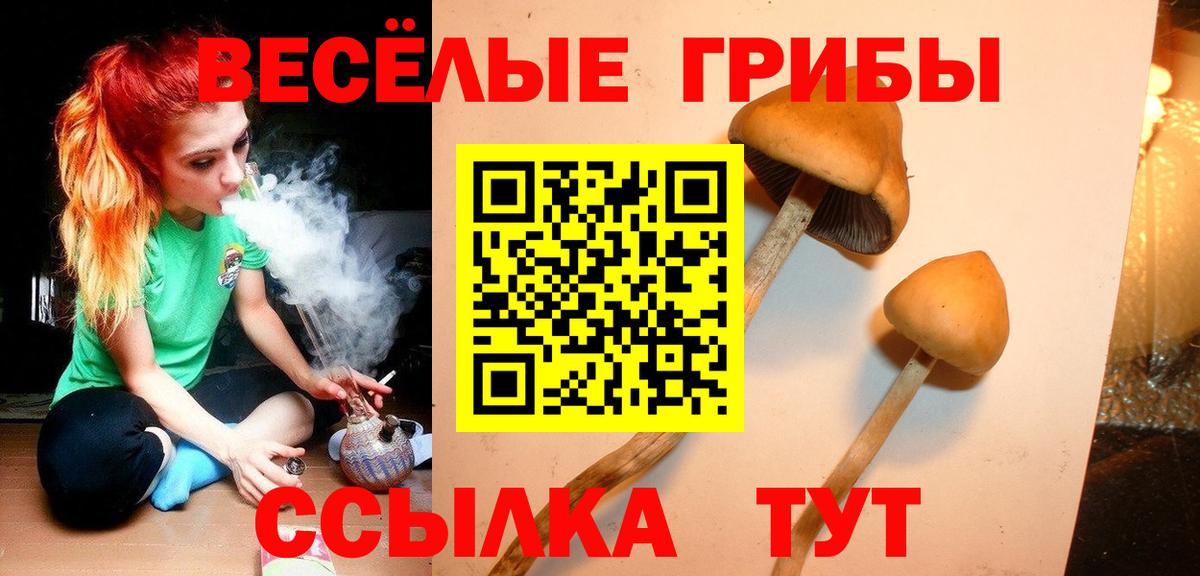 Галлюциногенные грибы GOLDEN TEACHER Светлоград